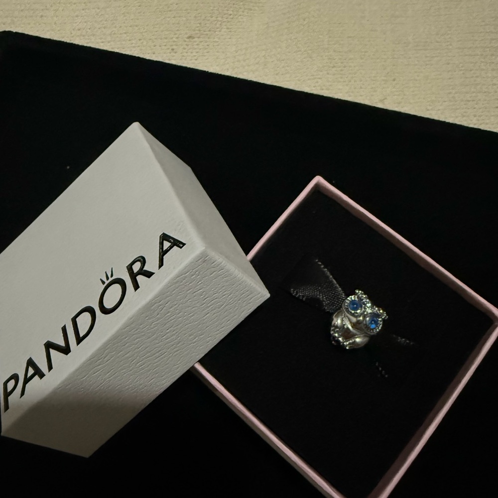 Sparkling Owl Charm